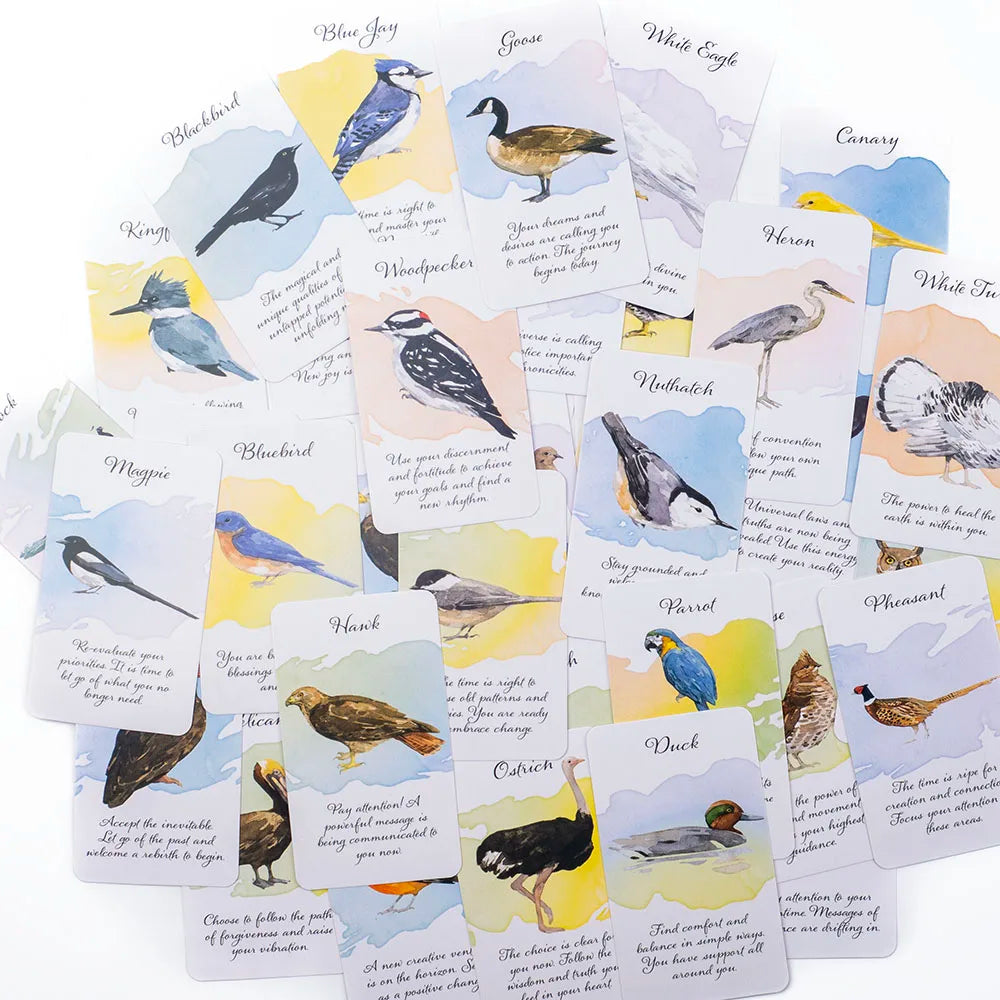 Divine Feather Messenger Tarot Oracle Cards 44 Birds Symbolism & Energies 10.3x6CM Divination Fate Reading and Board Game