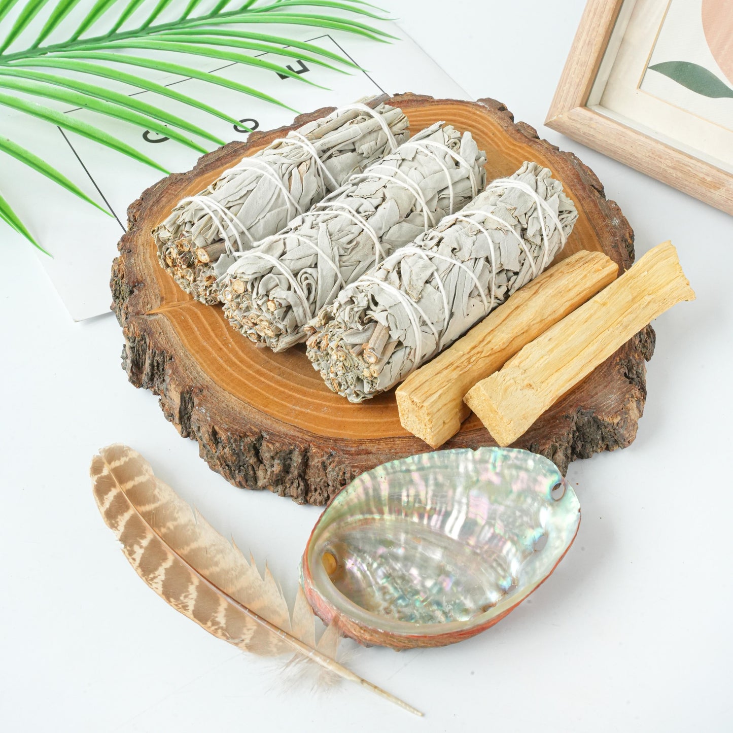 Sage Smudge Stick Set for Cleansing and Purification - Includes 3 White Sage Bundles, 2 Palo Santo Sticks, Abalone Shell, and Feather for Meditation, Aromatherapy, and Home Blessing