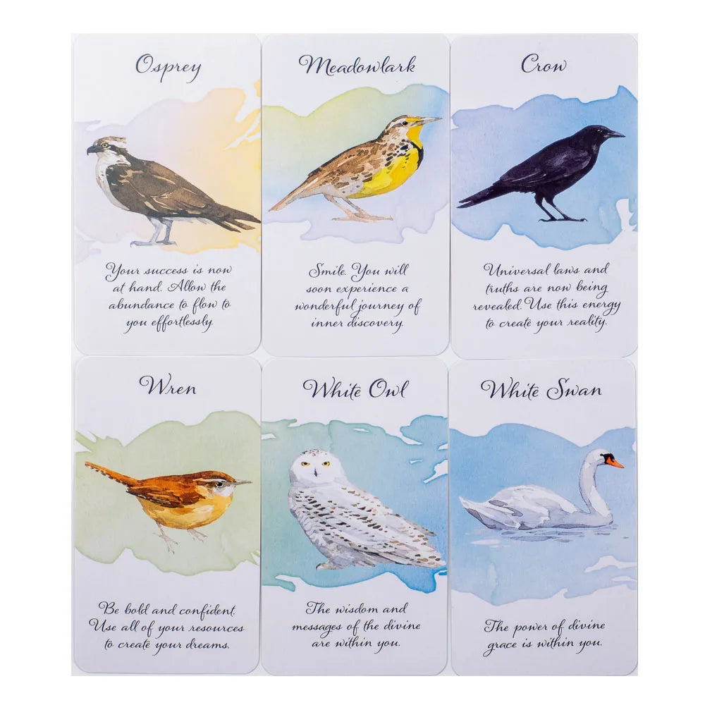 Divine Feather Messenger Tarot Oracle Cards 44 Birds Symbolism & Energies 10.3x6CM Divination Fate Reading and Board Game