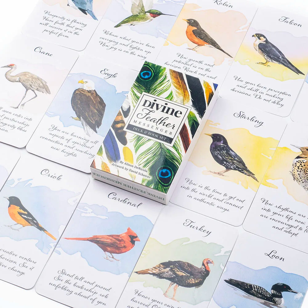 Divine Feather Messenger Tarot Oracle Cards 44 Birds Symbolism & Energies 10.3x6CM Divination Fate Reading and Board Game